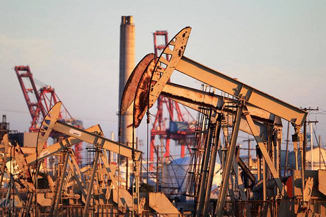 Россия обеспечена рентабельными запасами нефти на 2021 год