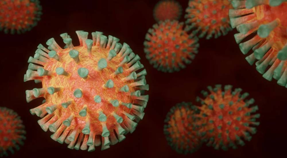 Еще у 189 человек выявили коронавирус в Ленобласти – данные на 15 сентября