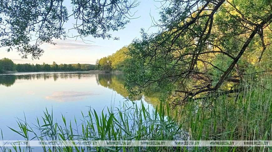 В Гродненской области выявили нарушения на арендованных водоемах