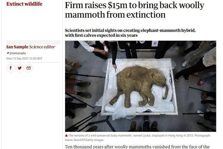 Фирма привлекает $ 15 млн, чтобы вернуть шерстистого мамонта к жизни