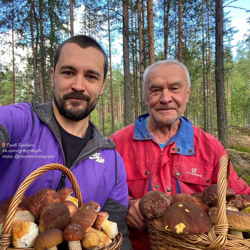 Грибники поделились новостями с грибных мест в Ленобласти — фото
