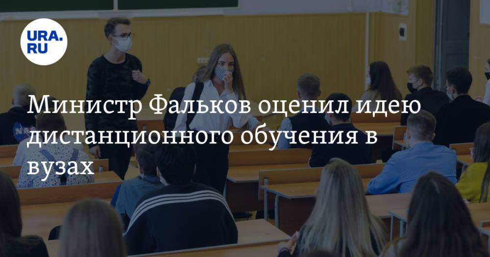 Министр Фальков оценил идею дистанционного обучения в вузах