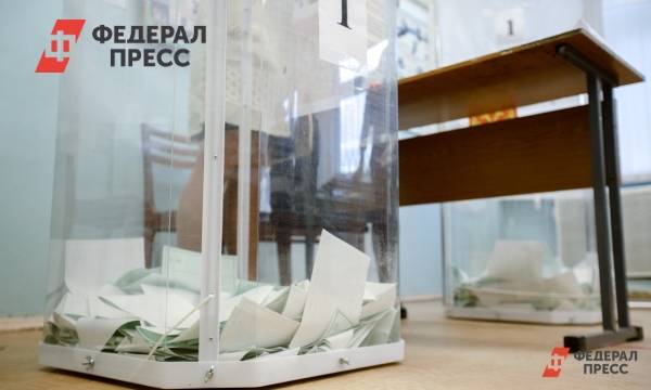 Депутат раскритиковал систему «Умное голосование»