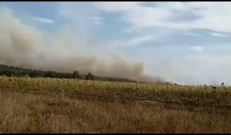 Пожар в Оренбургской области спровоцировал горение травы на границе с Башкирией