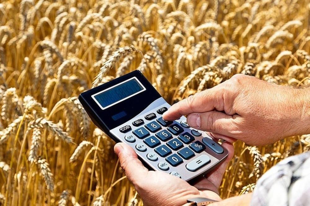 Зарплата аграриев Чувашии выросла на 11%