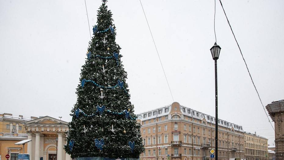 Власти Петербурга потратят на новогодние ели 33 млн рублей