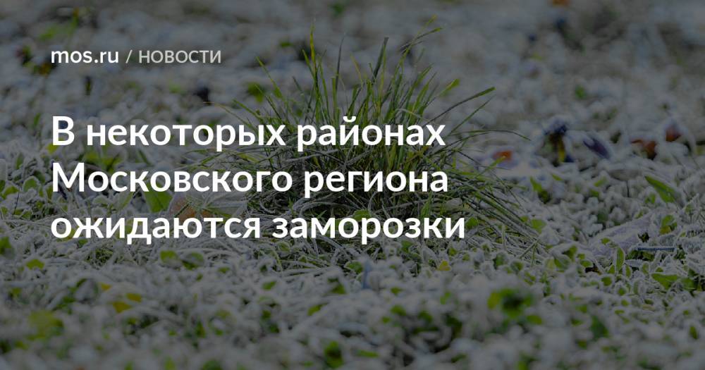 В некоторых районах Московского региона ожидаются заморозки