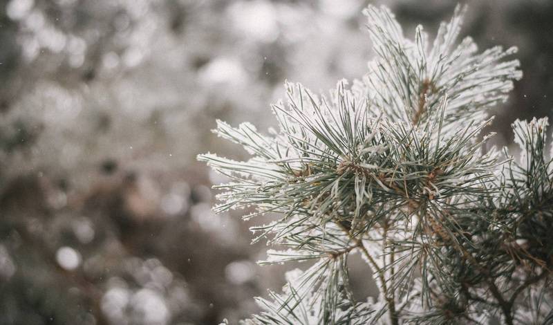 В ближайшие три дня в Башкирии ожидается прохладная погода с дождем и снегом