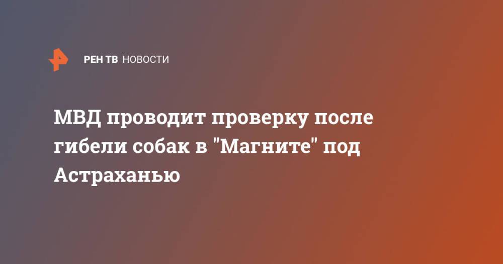 МВД проводит проверку после гибели собак в "Магните" под Астраханью