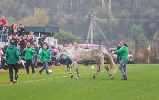 Полтавские животные пытались сорвать матч дефлимпийцев