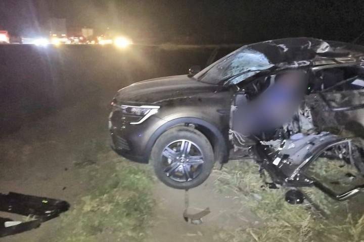 На трассе М-6 в Рязанской области погиб 50-летний вороженец на Renault