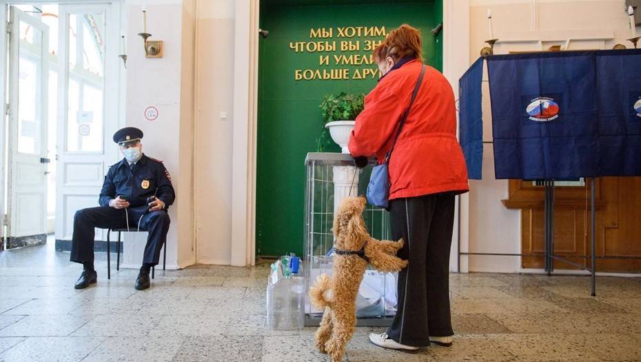 На выборах в Петербурге проголосовала треть избирателей