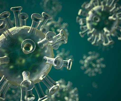 Ученые предоставили новое доказательство природного происхождения коронавируса