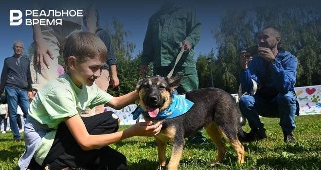 В Казани открыт dog-friendly избирательный участок