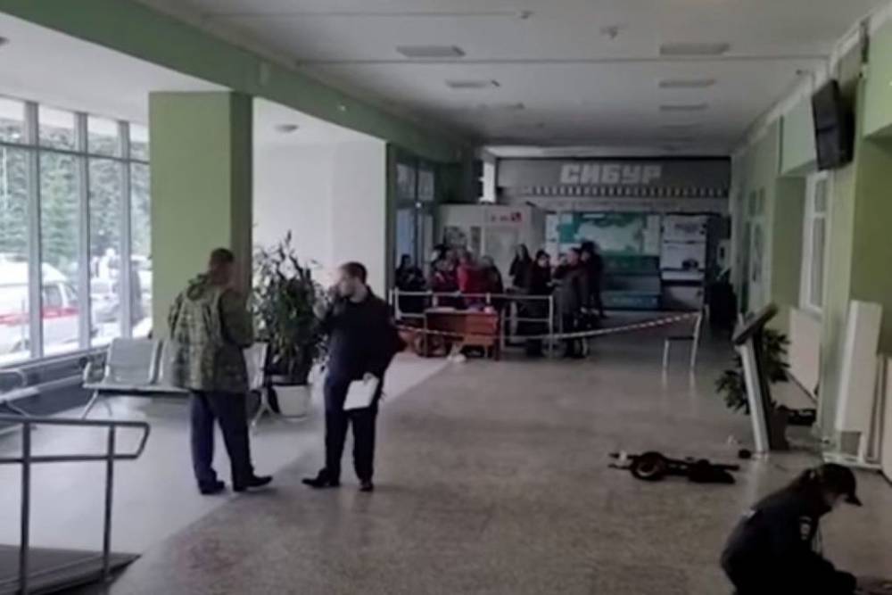 В России предложили ввести уроки самозащиты в школах