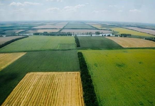 74 гектара земли Кубани смогут арендовать по льготным ставкам местные предприниматели