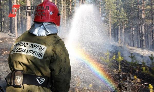 В Greenpeace заявили, что России побила рекорд по лесным пожарам