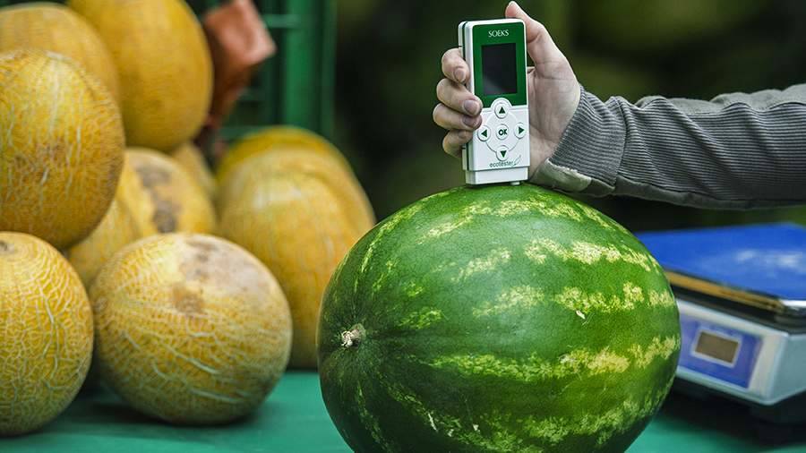 Российские ученые создают прибор для поиска химикатов в овощах и фруктах