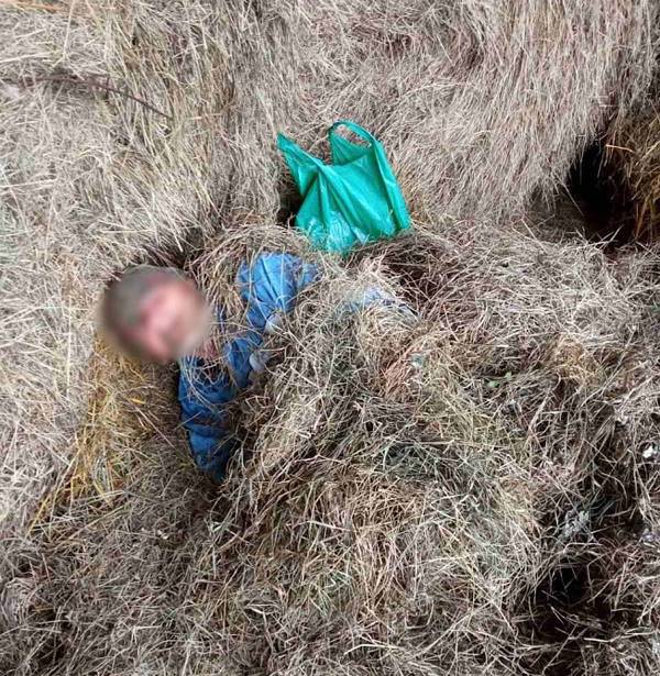 Вблизи белорусско-украинской границы задержан прятавшийся на сеновале уроженец Львовской области