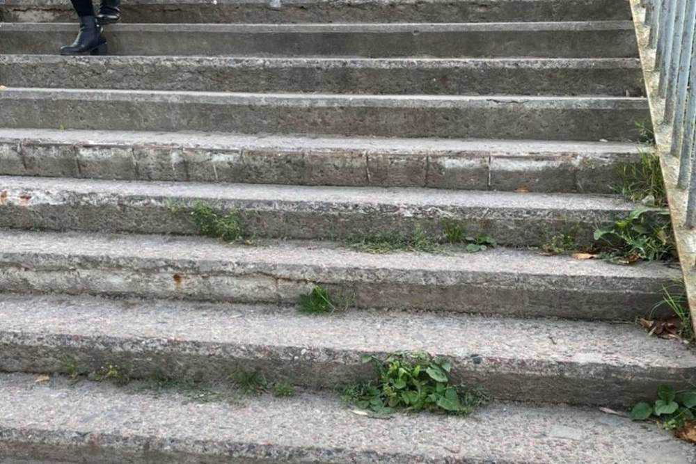 Лестницу в Финском парке в Пскове начнут ремонтировать в этом году