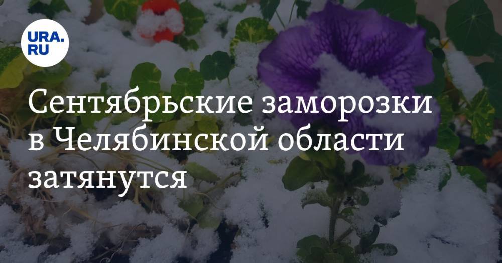 Сентябрьские заморозки в Челябинской области затянутся