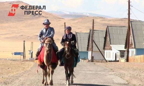 На Алтае избиратели приехали на выборы на верблюдах