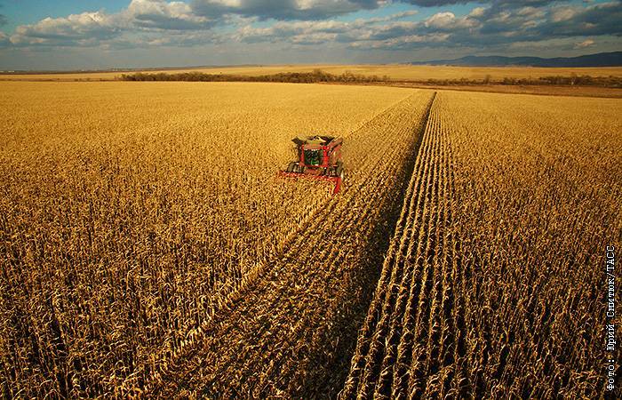 Эксперты предсказали падение выручки аграрного комплекса РФ на 40%
