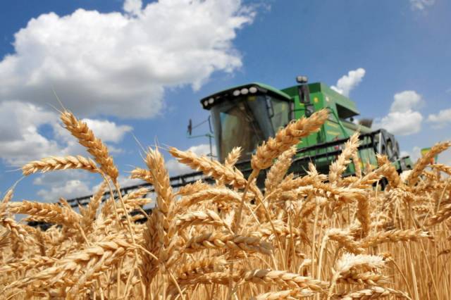 Зерновая корпорация Украины получила 1 млрд. гривен убытков с начала 2021 года