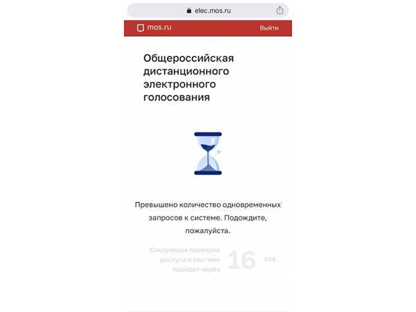 В ЦИК заявили, что подсчет данных онлайн-голосования в Москве займет больше времени