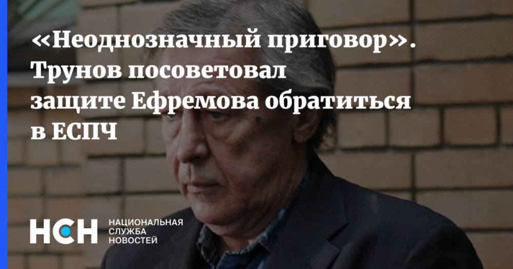 «Неоднозначный приговор». Трунов посоветовал защите Ефремова обратиться в ЕСПЧ