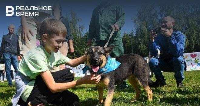 Мобильный пункт вакцинации и стерилизации собак завтра приедет в Авиастроительный район Казани