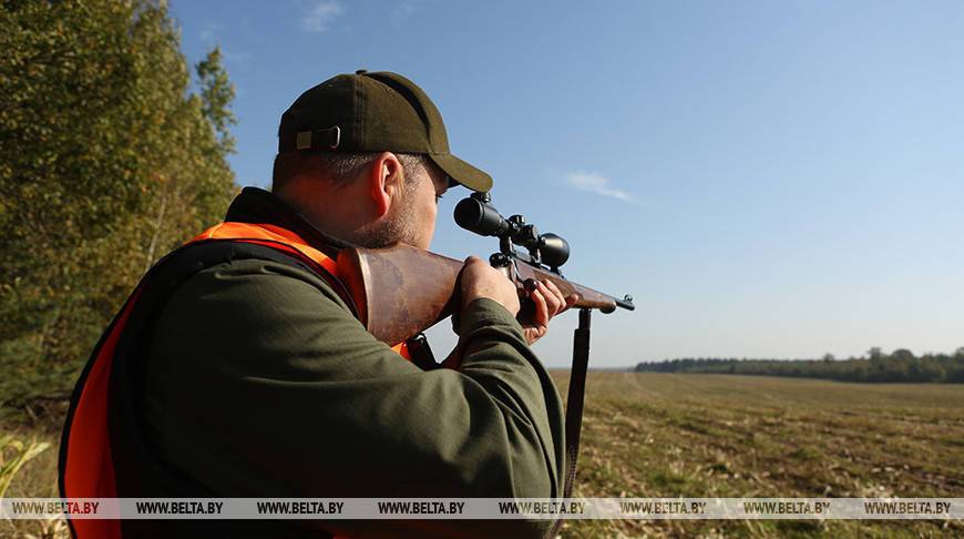 В Бегомльском лесхозе Докшицкого района пройдет республиканский семинар охотоведов