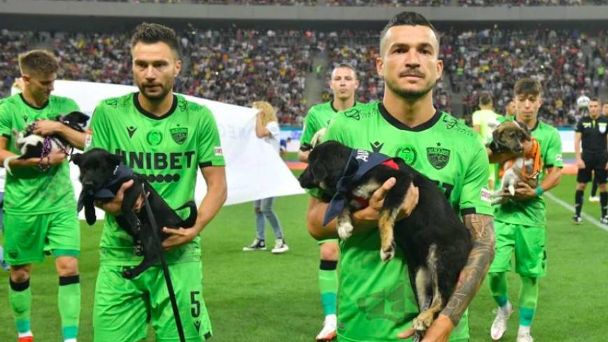 Акция помощи собакам из приюта: румынские футболисты вышли на поле с щенками в руках