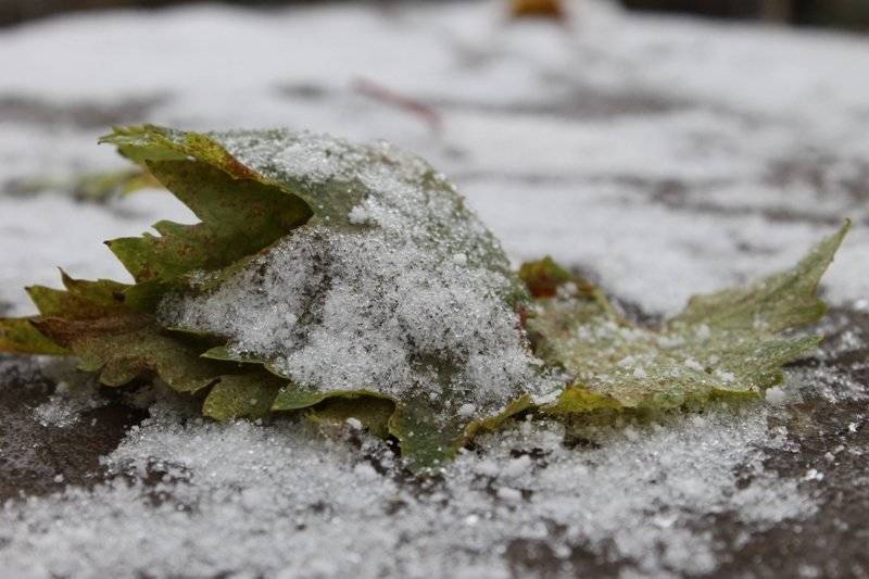 Башкирию накроет дождь со снегом, ожидаются заморозки до -5 градусов