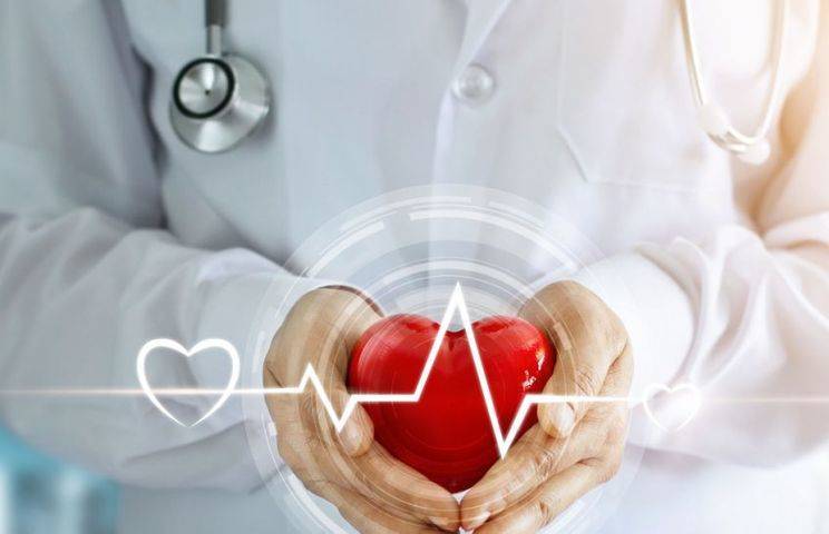 Ученые нашли способ улучшить работу сердца