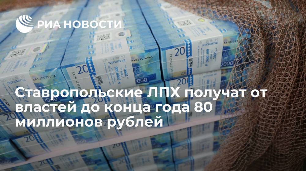 Ставропольские ЛПХ получат от властей до конца года 80 миллионов рублей