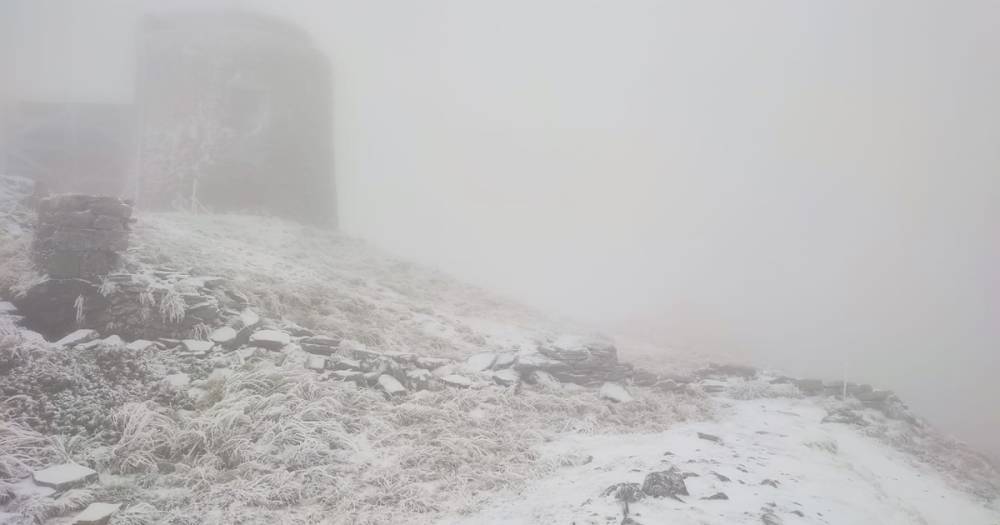 На горе Поп Иван Черногорский выпал снег