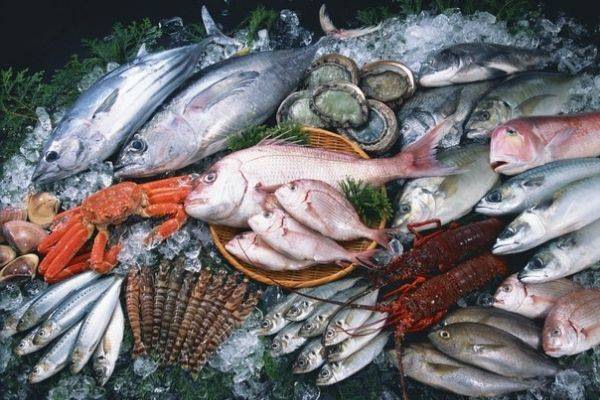 Цены на рыбу могут вырасти из-за повышения ставок сбора рыбодобывающих компаний