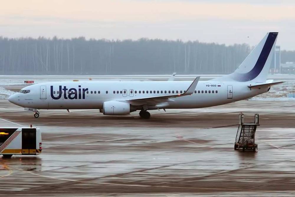 Авиакомпания UTair начала допускать на борт пассажиров с животными