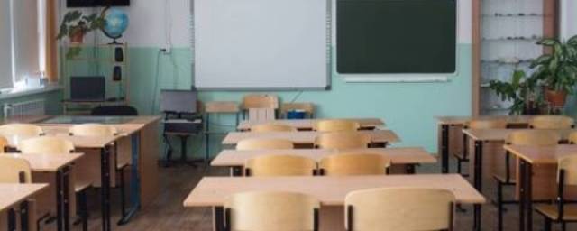 В 12 районах Башкирии с 22-23 сентября школьников переводят на дистанционное обучение