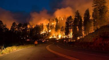 Как в Калифорнии пожарные спасают от огня самое большое дерево в мире — Генерала Шермана. ФОТО