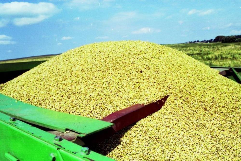 Россия увеличила экспорт сельхозтоваров на 18%