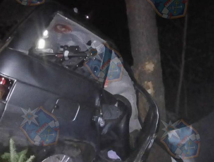 Под Петербургом водитель «Лады» погиб, врезавшись ночью в дерево