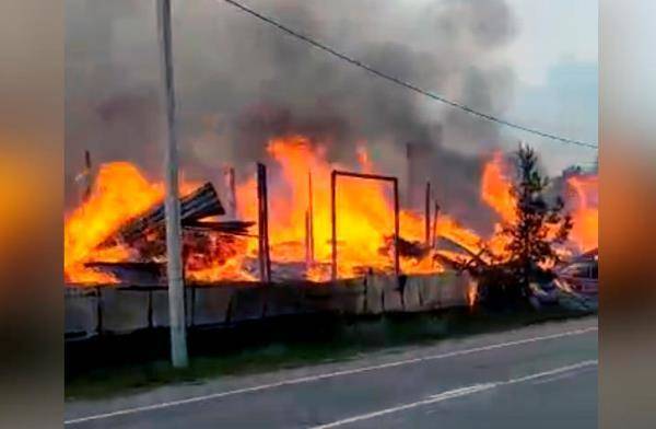 На пилораме в Ленинградской области произошёл крупный пожар