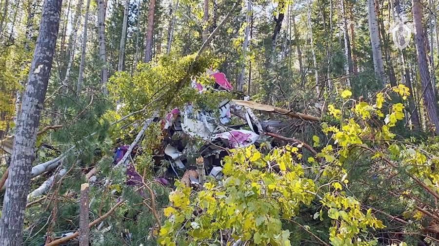 Ространснадзор сообщил о нарушениях у владельца потерпевшего крушение под Иркутском самолета