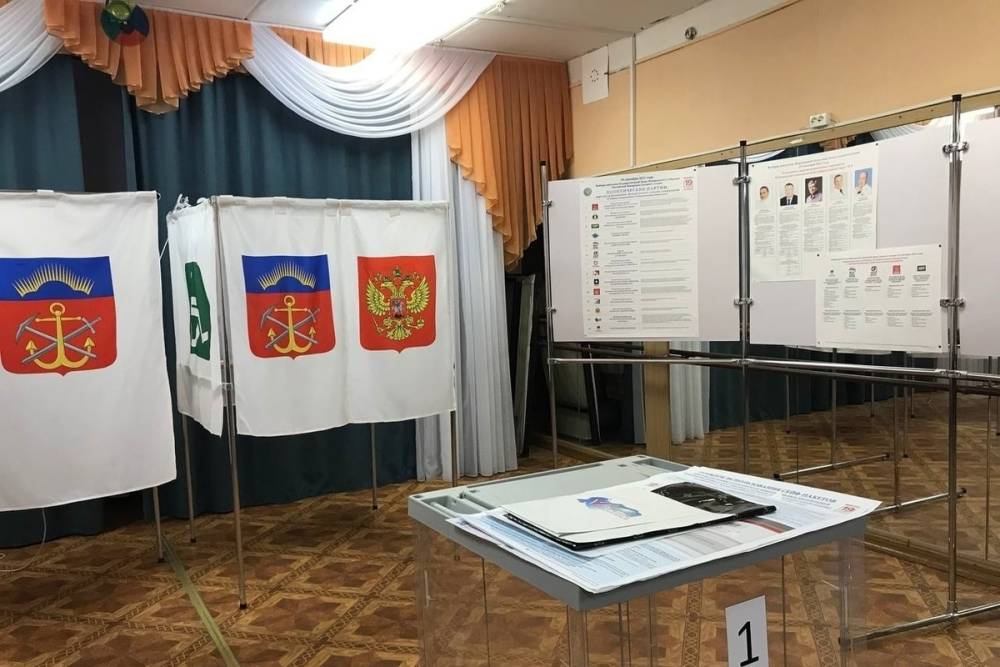 Явка в Мурманской области составила 43,84 процента