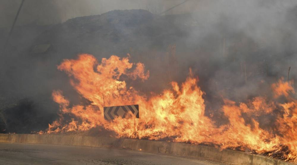 Лесной пожар в Испании приблизился к заповеднику