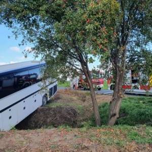 В Польше автобус с детьми слетел в кювет: пострадали четыре человека. Фото