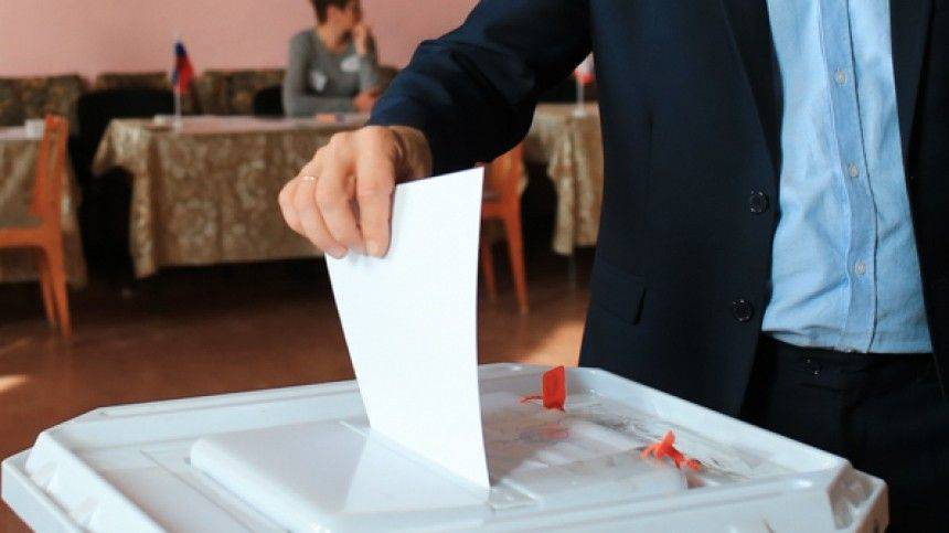 Член ОП Малькевич заявил об увеличении количества фейков перед выборами