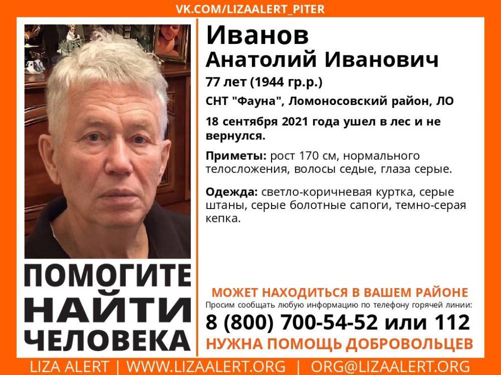 В Ломоносовском районе без вести пропал 77-летний мужчина
